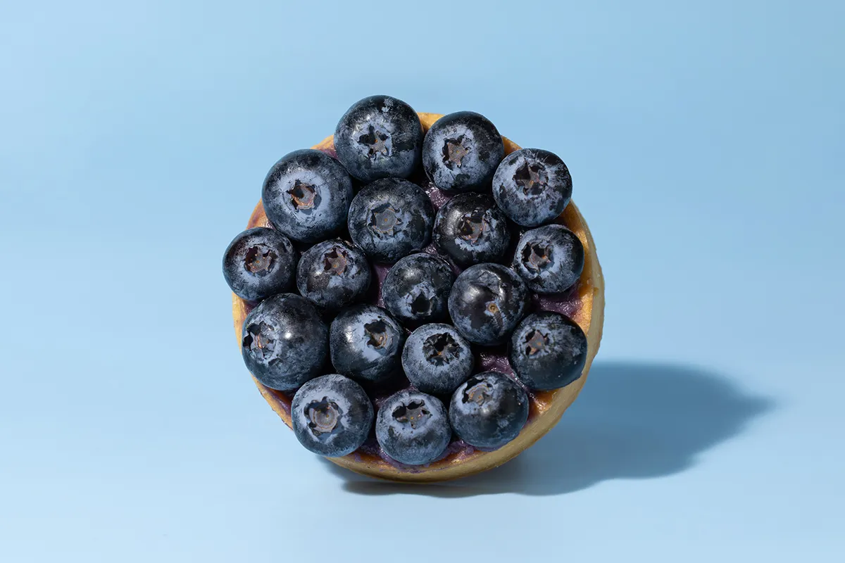 Blueberry Protein Tart